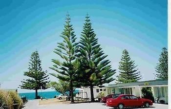 Norfolk Pine Beachfront Motel Kaikoura Exterior photo